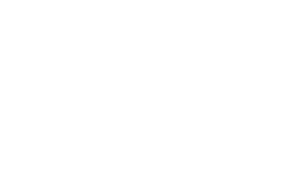 Florida Film Festival
